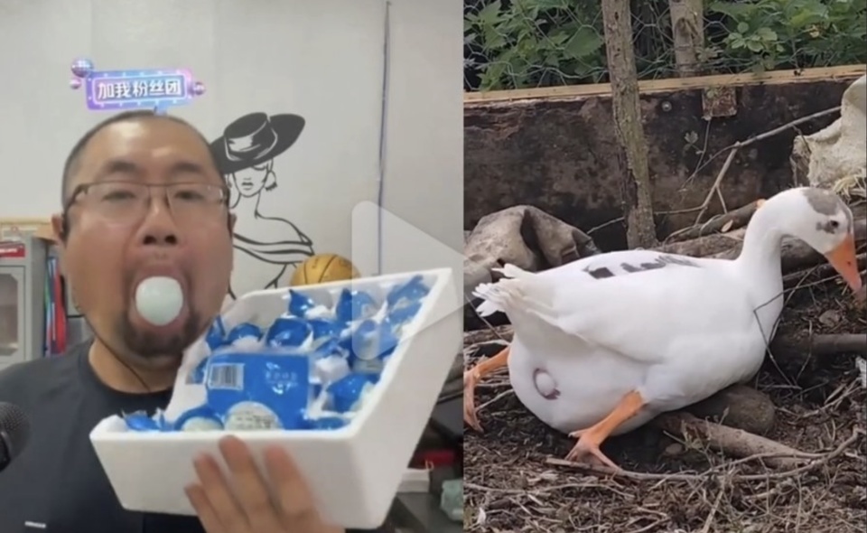 辽宁男篮俱 辽宁男篮俱